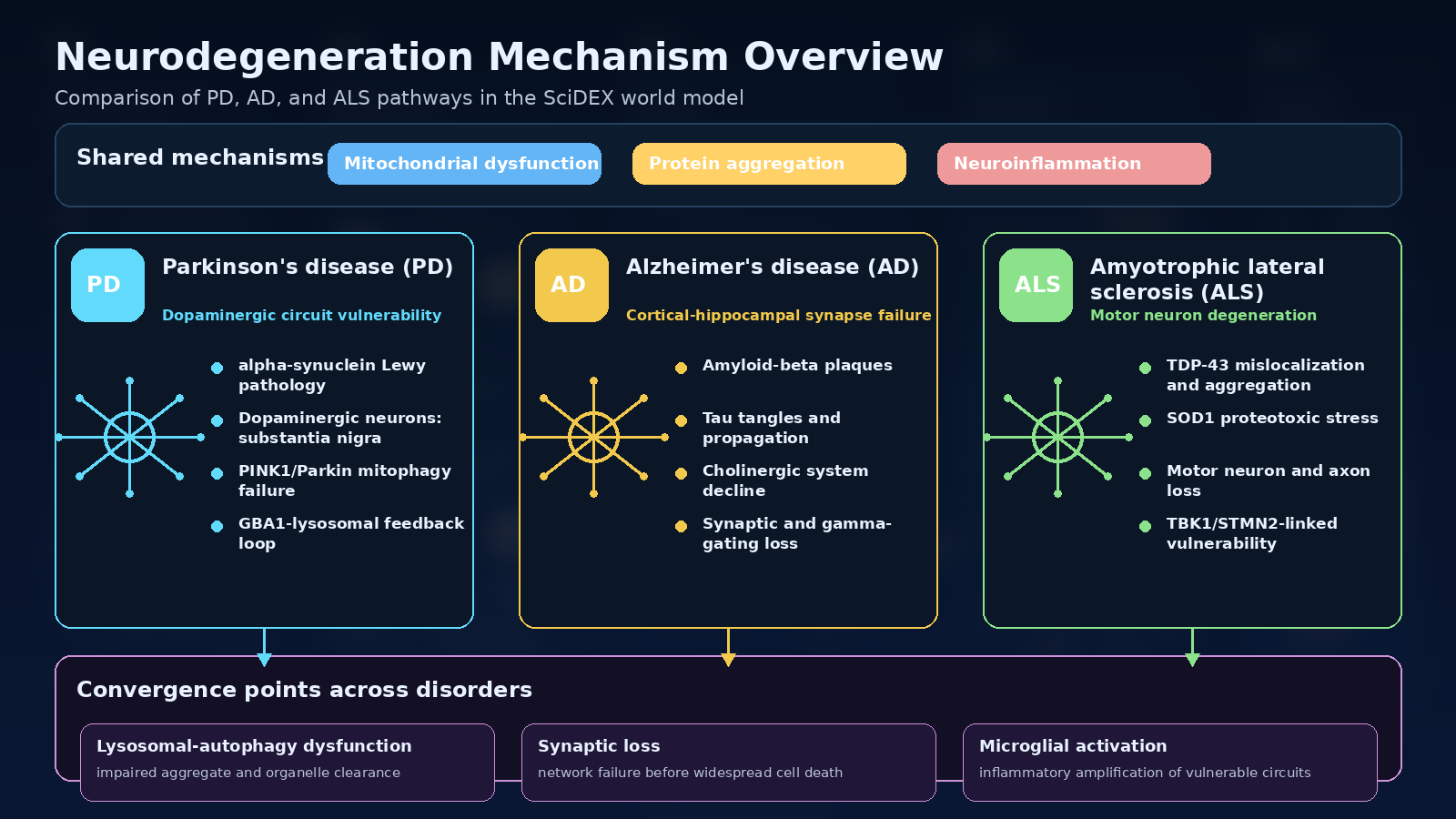 Neurodegeneration disease mechanism overview: PD, AD, and ALS pathways